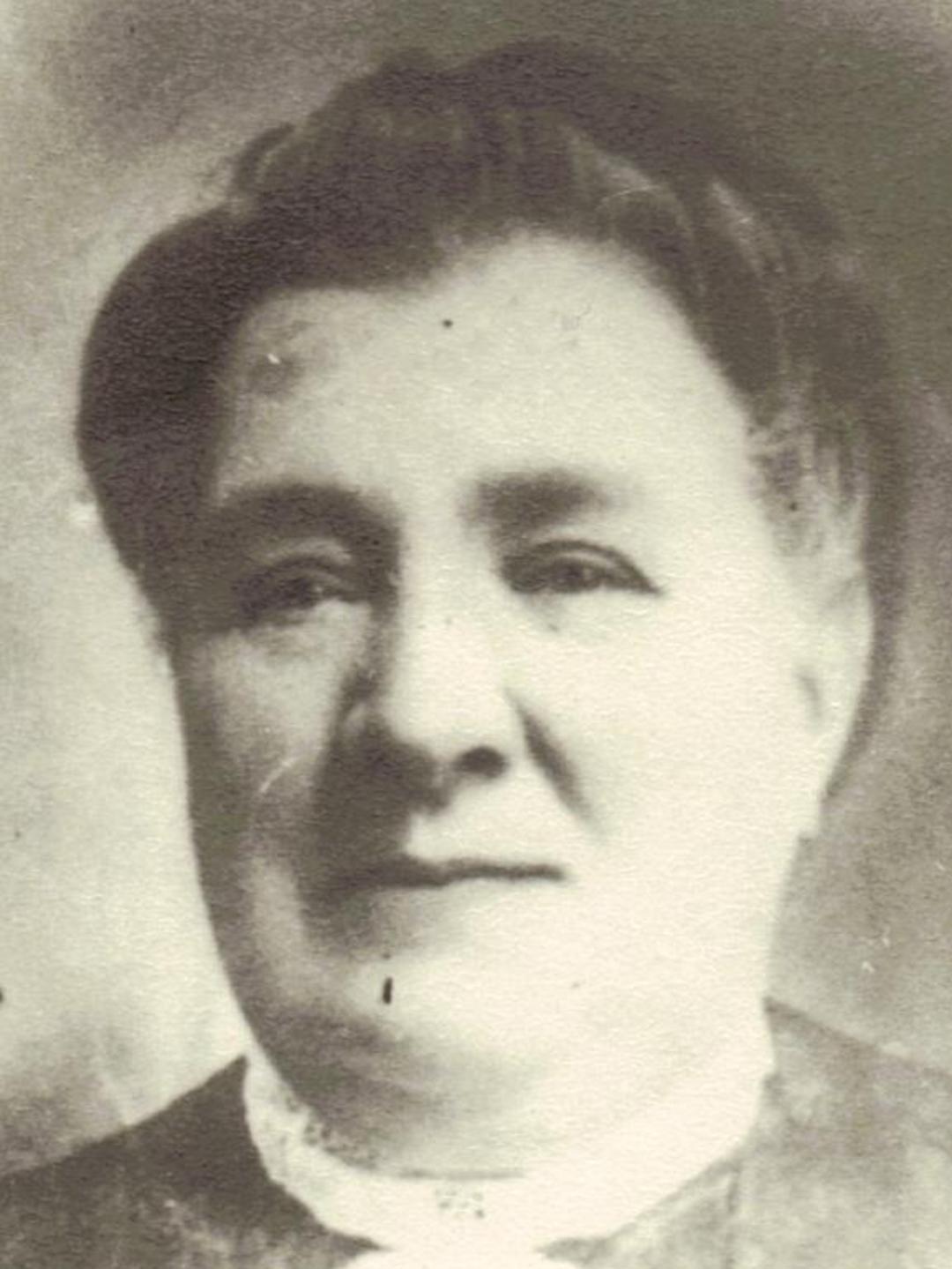 Louisa Faulkner (1847 - 1932) Profile